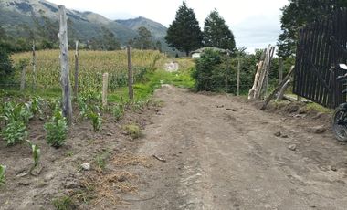 Vendo 3 hectáreas en Cuicocha