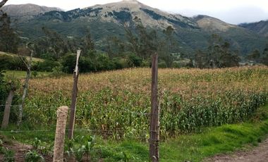 Vendo 3 hectáreas en Cuicocha