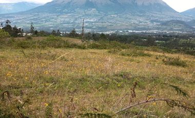 Vendo 3 hectáreas en Cuicocha