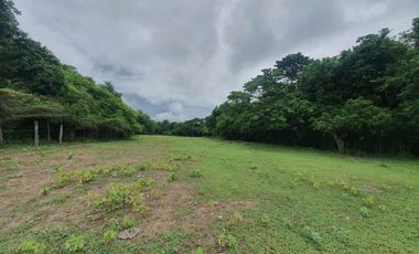 Hermosa Finca de 3 Hectáreas en Girardot, Cundinamarca.