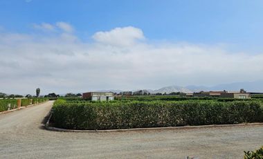 1078 M2.VENTA TERRENO CONDOMINIO LOS TANGELOS QUILMANA CAÑETE