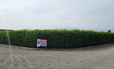 1078 M2.VENTA TERRENO CONDOMINIO LOS TANGELOS QUILMANA CAÑETE