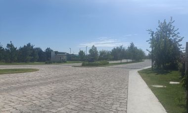 San Felipe Residencial-Terrenos en Venta