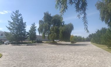 San Felipe Residencial-Terrenos en Venta