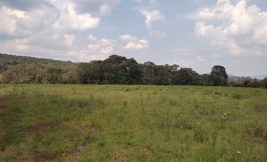 Terreno en Venta Santa Martha de la Cruz Jilotepec