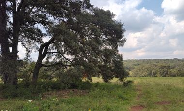 Terreno en Venta Santa Martha de la Cruz Jilotepec