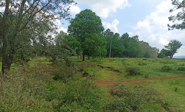 Terreno en Venta Santa Martha de la Cruz Jilotepec