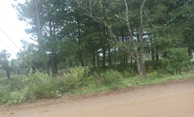 Terreno en Venta Santa Martha de la Cruz Jilotepec