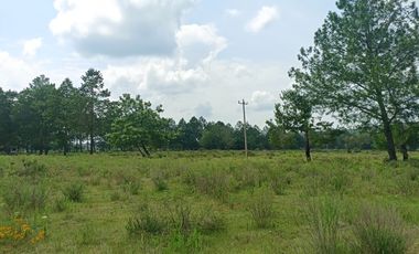 Terreno en Venta Santa Martha de la Cruz Jilotepec