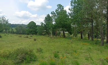 Terreno en Venta Santa Martha de la Cruz Jilotepec