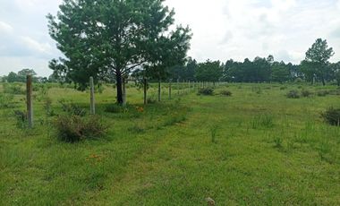 Terreno en Venta Santa Martha de la Cruz Jilotepec