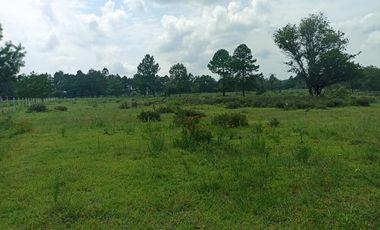 Terreno en Venta Santa Martha de la Cruz Jilotepec