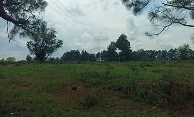 Terreno en Venta Santa Martha de la Cruz Jilotepec