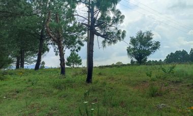 Terreno en Venta Santa Martha de la Cruz Jilotepec
