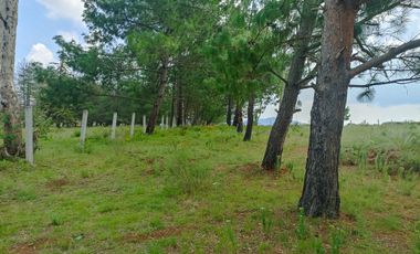 Terreno en Venta Santa Martha de la Cruz Jilotepec
