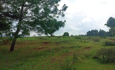 Terreno en Venta Santa Martha de la Cruz Jilotepec