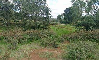 Terreno en Venta Santa Martha de la Cruz Jilotepec