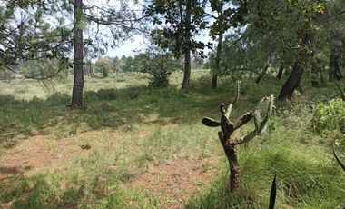 Terreno en Venta Santa Martha de la Cruz Jilotepec