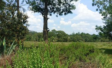 Terreno en Venta Santa Martha de la Cruz Jilotepec