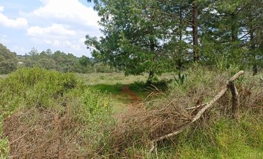 Terreno en Venta Santa Martha de la Cruz Jilotepec
