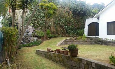 REnta casa Campo alegre  Monteserrin