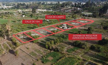 LOTES DE  VENTA CEVALLOS