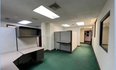 SE RENTAN OFICINAS EN EL EDIFICIO MAYAB
