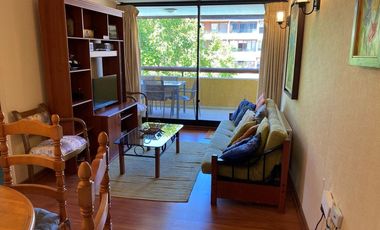 Arriendo Departamento Central, Pucon