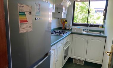 Arriendo Departamento Central, Pucon