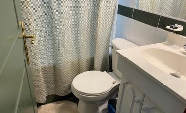 Arriendo Departamento Central, Pucon