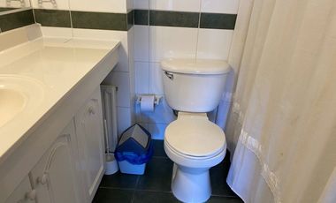 Arriendo Departamento Central, Pucon