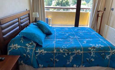 Arriendo Departamento Central, Pucon