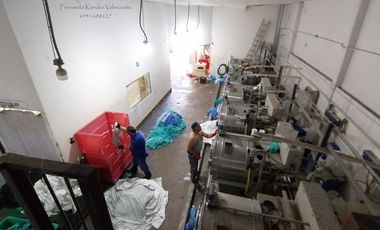 local comercial bodega almacén en venta ciudad obregón Cajeme