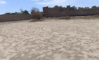 🔑 ¡Gran Oportunidad! Terreno de 1,290 m² en Huacho, a 2 Minutos de la Panamericana Norte 🌟