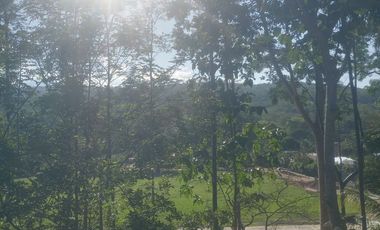 Casa moderna en la naturaleza