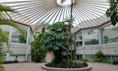 edificio con 16 oficinas local comercial en venta ciudad obregon sonora