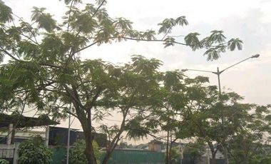 🌟 FOR SALE: Prime Commercial Vacant Lot in Brgy. Ugong, Valenzuela City