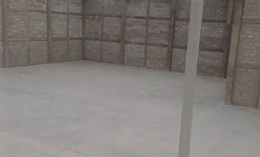 Bodega en Parque Industrial Panam