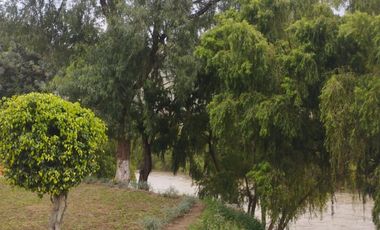 SE VENDE EDIFICIO DE 5 PISOS AL FRENTE DEL RIO HUALLAGA AL COSTADO DEL TOTTUS A.T. 290 M2 SUPER COMERCIAL Y CON LOS 5 PISOS CON RENTA MENSUAL.