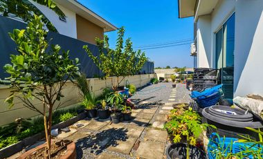 ขายด่วน! บ้านเดี่ยวไซซ์ใหญ่ The Plant รังสิต-คลอง 5 ทำเลดี ใกล้มอเตอร์เวย์ ฟังก์ชันครบ อยู่สบาย ที่จอดรถเหลือเฟือ รีบตัดสินใจก่อนพลาด!