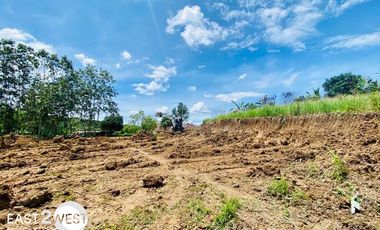 Dijual Kavling Kemuning Tanjung Teja Serang Banten Luas Lokasi Strategis Dekat Pintu Tol