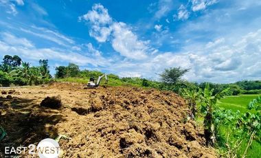 Dijual Kavling Kemuning Tanjung Teja Serang Banten Luas Lokasi Strategis Dekat Pintu Tol