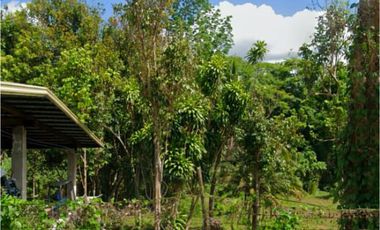 Alaminos Laguna | Farm Lot For Sale - #8046