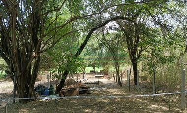 SE ARRIENDA CASALOTE EN LA VEREDA MANUEL SUR.
