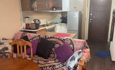 Dpto amoblado 2 dorm 2 baños. Santa Rosa 265