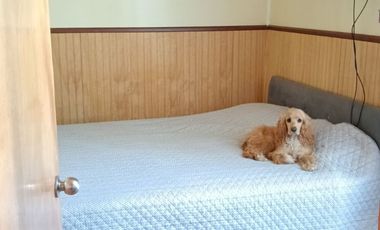 ¡Hermosa Casa Pareada en El Bosque!