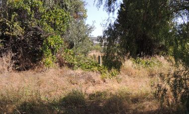TERRENO DE 2.302 MT URBANO EN BELLOTO, QUILPUE