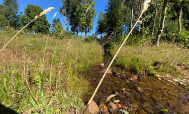 Se Vende Parcela sector Liucura de 6.705 m², Paillaco Región de Los Ríos.