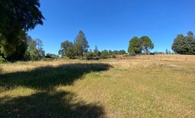 Se Vende Parcela sector Liucura de 6.705 m², Paillaco Región de Los Ríos.