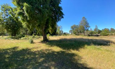 Se Vende Parcela sector Liucura de 6.705 m², Paillaco Región de Los Ríos.